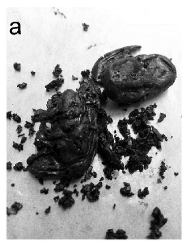 Details are in the caption following the image