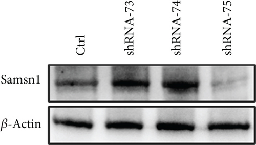 Details are in the caption following the image