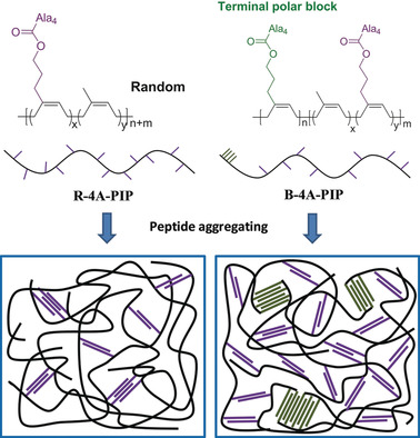 Towards a Supertough Thermoplastic Polyisoprene Elastomer Based on a Biomimic Strategy