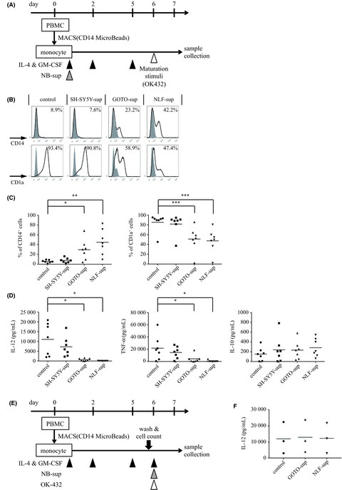 Soluble factors derived from neuroblastoma cell lines suppress dendritic cell differentiation and activation
