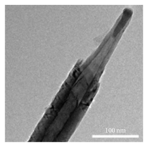 Details are in the caption following the image