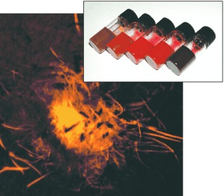 Visible-Light-Harvesting Organogel Composed of Cholesterol-Based Perylene Derivatives