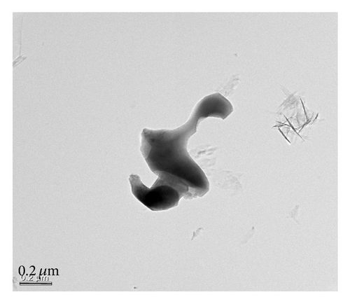 Details are in the caption following the image