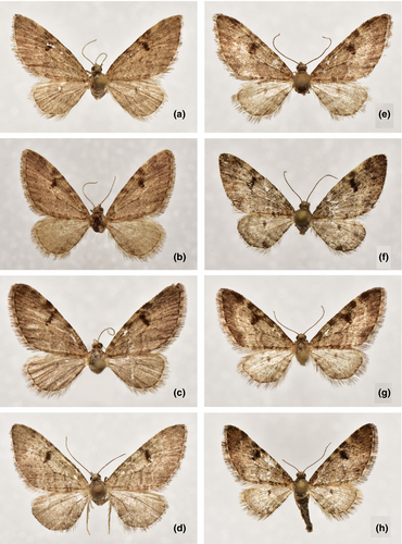Details are in the caption following the image Details are in the caption following the image