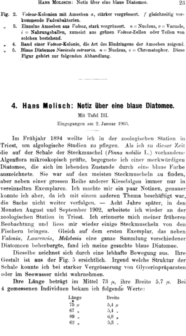 First page image