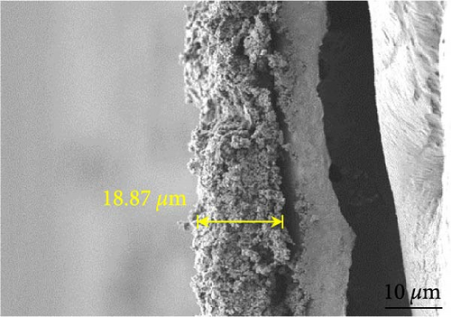 Details are in the caption following the image