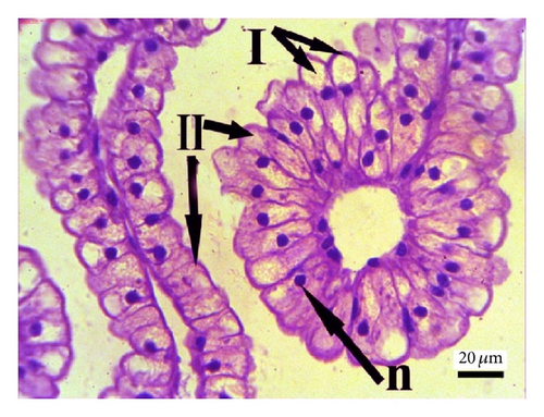 Details are in the caption following the image