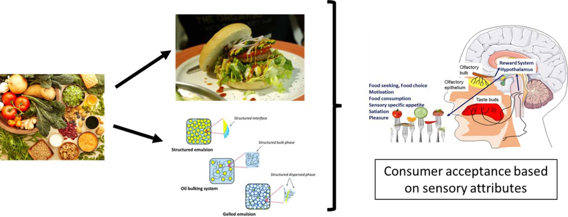 Plant-based foods as meat and fat substitutes