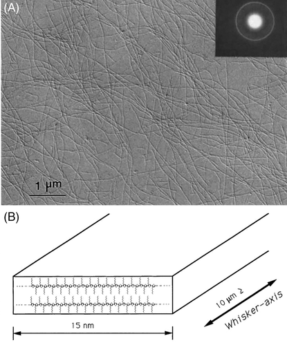 Details are in the caption following the image