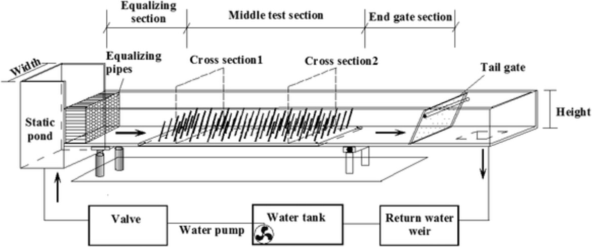 Influence of vegetation lodging on the flow regime and resistance characteristic of overland flow