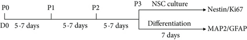 Details are in the caption following the image
