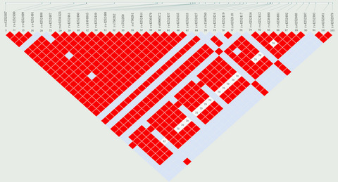 Association between single nucleotide polymorphism (rs4252424) in TRPV5 calcium channel gene and lead poisoning in Chinese workers