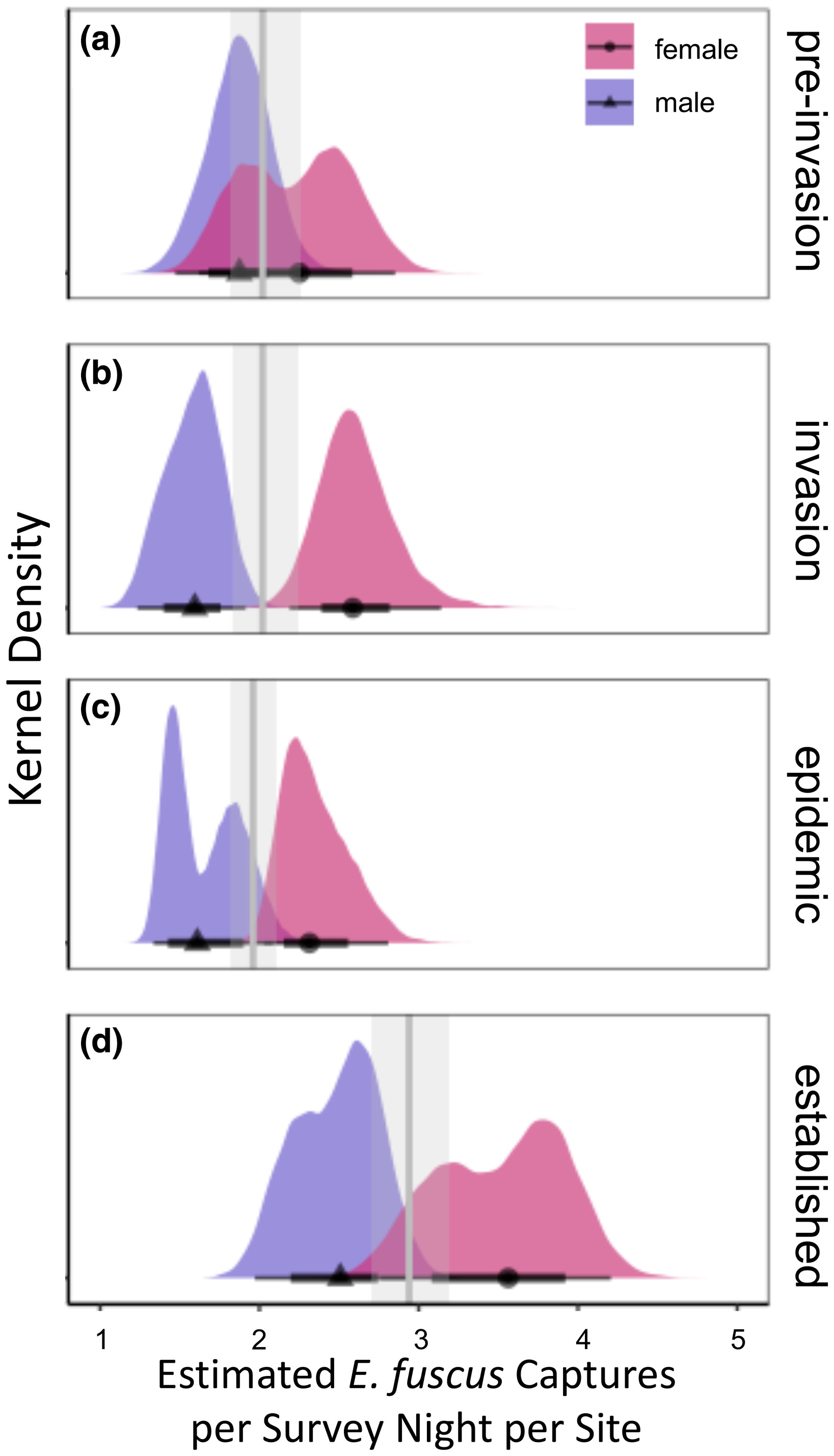Capture rates of Eptesicus fuscus increase following white-nose syndrome across the eastern US