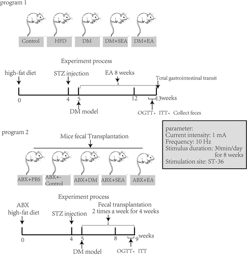 Details are in the caption following the image Details are in the caption following the image