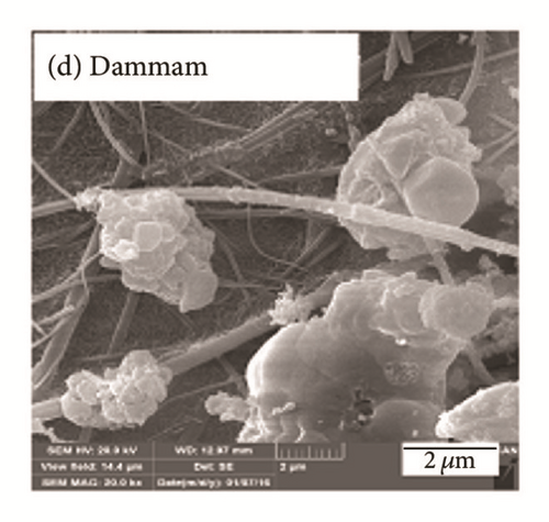 Details are in the caption following the image