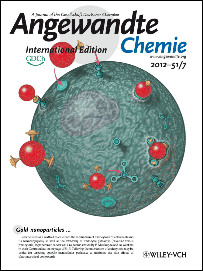 Back Cover: Switching the Targeting Pathways of a Therapeutic Antibody by Nanodesign (Angew. Chem. Int. Ed. 7/2012)