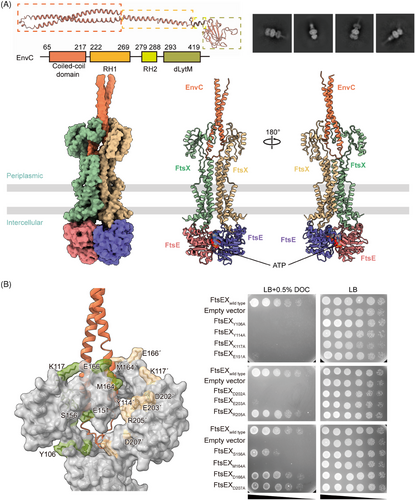 Details are in the caption following the image Details are in the caption following the image