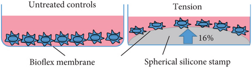 Details are in the caption following the image Details are in the caption following the image