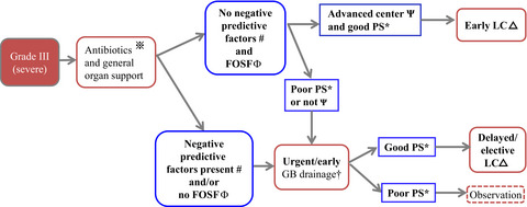 Tokyo Guidelines 2018: flowchart for the management of acute cholecystitis Issue 1, 2018