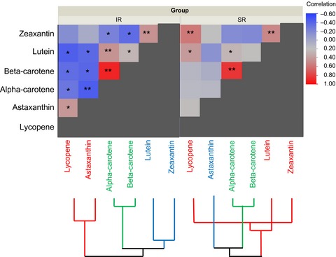 Evidence for decreased interaction and improved carotenoid bioavailability by sequential delivery of a supplement