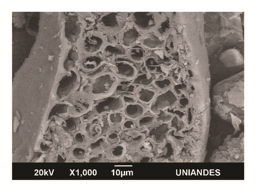 Details are in the caption following the image