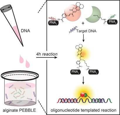 Subnanomolar Detection of Oligonucleotides through Templated Fluorogenic Reaction in Hydrogels: Controlling Diffusion to Improve Sensitivity