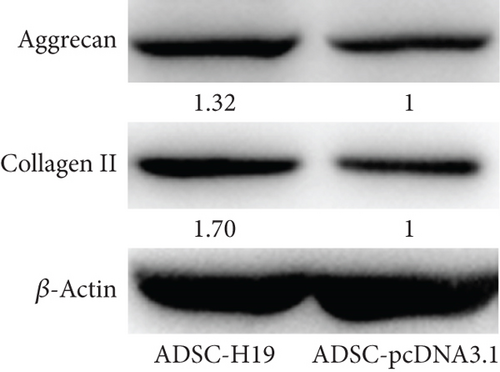 Details are in the caption following the image