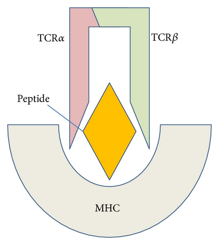 Details are in the caption following the image