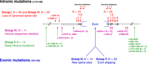 Details are in the caption following the image Details are in the caption following the image