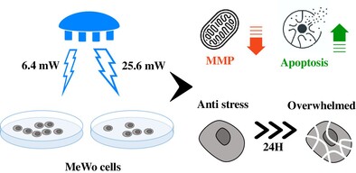 Effect of 460 nm blue light PBM on human MeWo melanoma cells