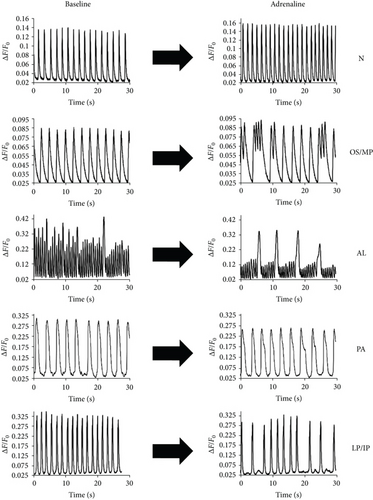 Details are in the caption following the image Details are in the caption following the image