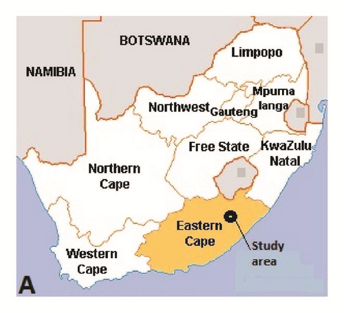 Details are in the caption following the image