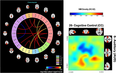 Nonlinear functional network connectivity in resting functional magnetic resonance imaging data