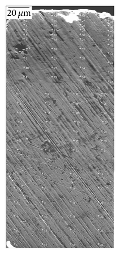 Details are in the caption following the image