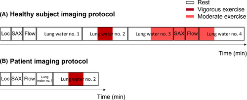 Details are in the caption following the image