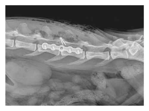 Details are in the caption following the image