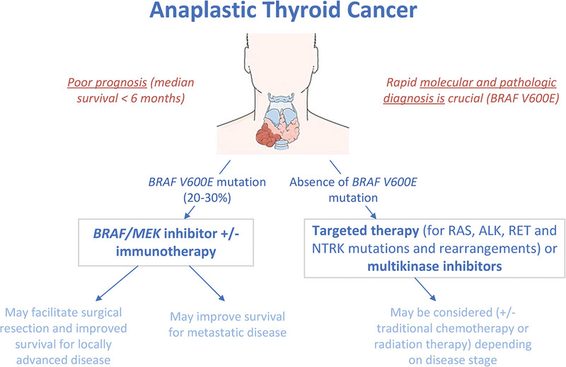 Anaplastic thyroid cancer: A review of recent evidence and summary of an Australian institutional protocol