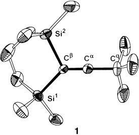 The X-ray Structure of a Vinyl Cation