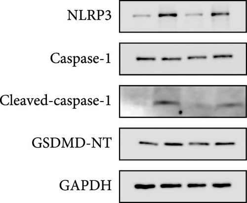 Details are in the caption following the image