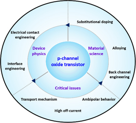 Recent Progress and Perspectives of Field-Effect Transistors Based on p-Type Oxide Semiconductors