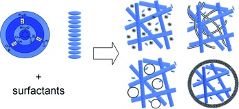 Preparation of Nanostructures by Orthogonal Self-Assembly of Hydrogelators and Surfactants