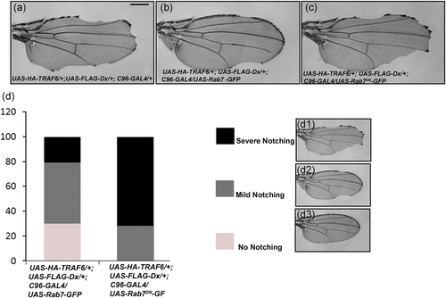 Details are in the caption following the image Details are in the caption following the image