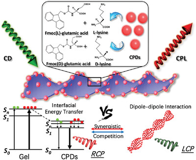 Stimulating and harnessing circularly polarized luminescence of helically assembled carbonized polymer dots via interfacial dynamics Issue 4, 2023