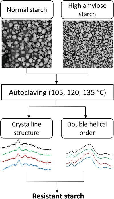 Effect of Crystalline and Double Helical Structures on the Resistant Fraction of Autoclaved Corn Starch with Different Amylose Content