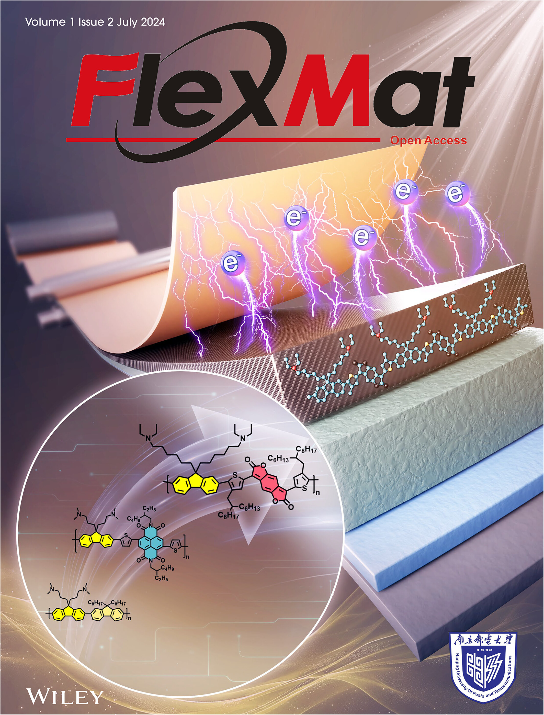 Cover Image Volume 1 Issue 2, 2024