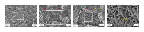 Details are in the caption following the image Details are in the caption following the image