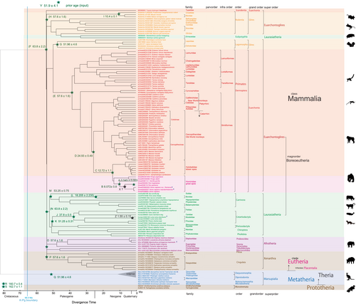 Details are in the caption following the image Details are in the caption following the image