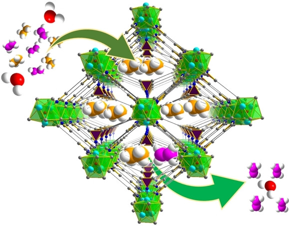 Highly Robust Microporous Metal-Organic Frameworks for Efficient Ethylene Purification under Dry and Humid Conditions