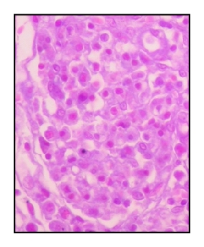 Details are in the caption following the image