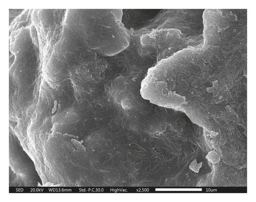 Details are in the caption following the image